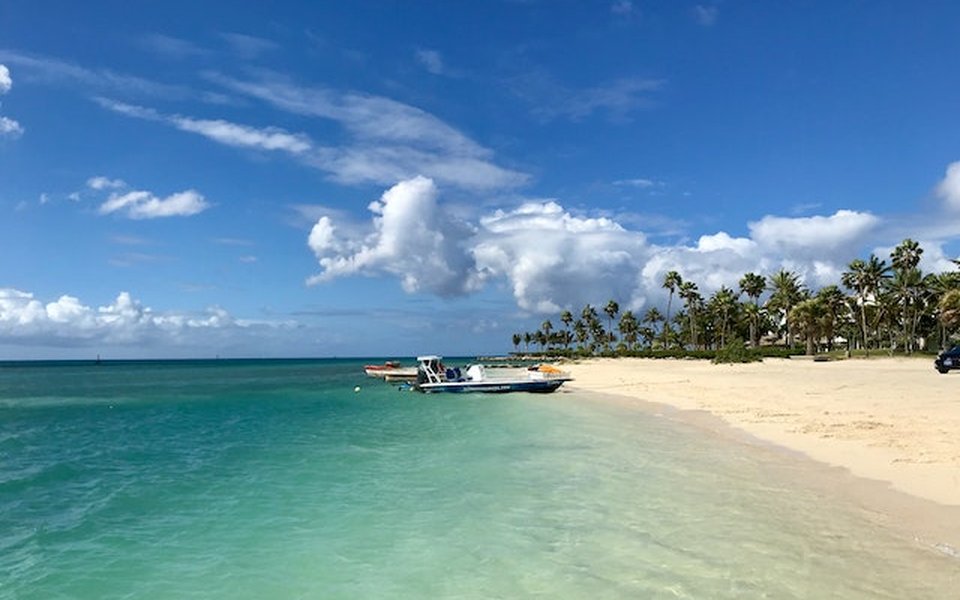 Turquoise Caribbean water meeting a sandy beach lined with palm trees in Aruba