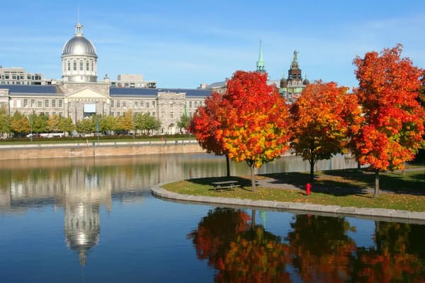 Best flight deals to Montreal